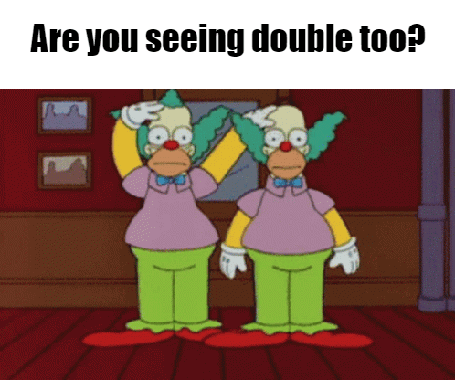 GIF - Are you seeing double too