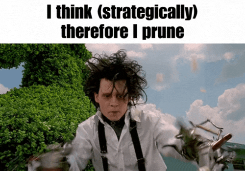 GIF – I think (strategically) therefore I prune GIF - I think (strategically) therefore I prune