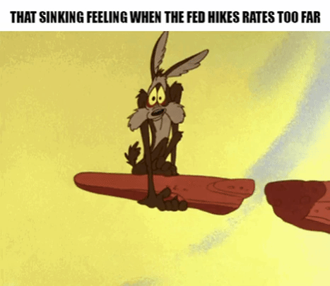 GIF - That sinking feeling when the Fed hikes rates too far GIF - That sinking feeling when the Fed hikes rates too far