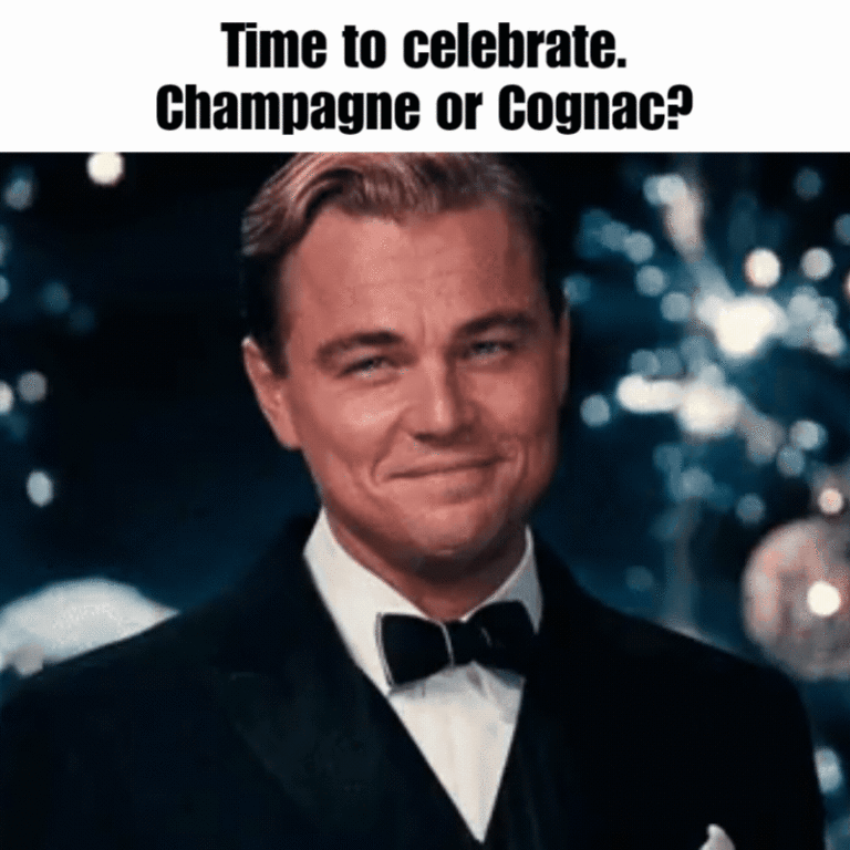 GIF - Time to celebrate. Champagne or Cognac