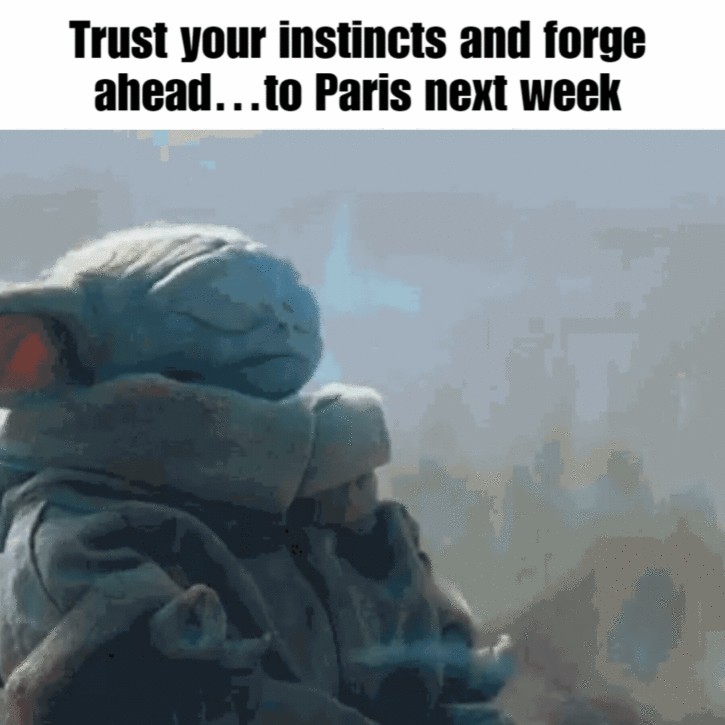 GIF - Trust your instincts and forge ahead…to Paris next week