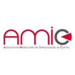 Logo-AMIC