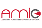 Logo-AMIC