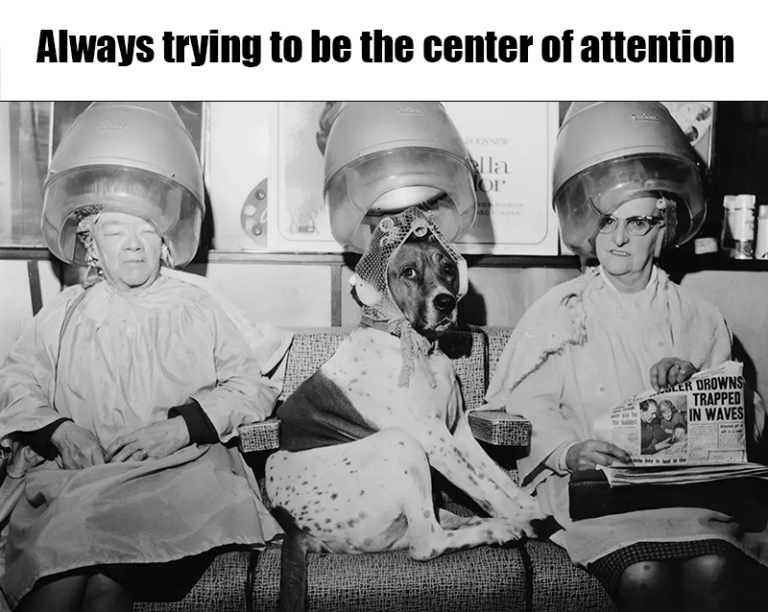 Meme-Always-Center-of-Attention