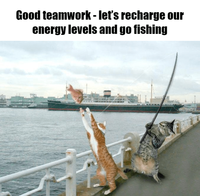 Meme – Good teamwork – let’s recharge our energy levels and go fishing