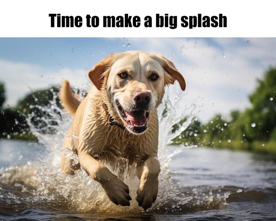 Meme - Time to make a big splash Meme - Time to make a big splash