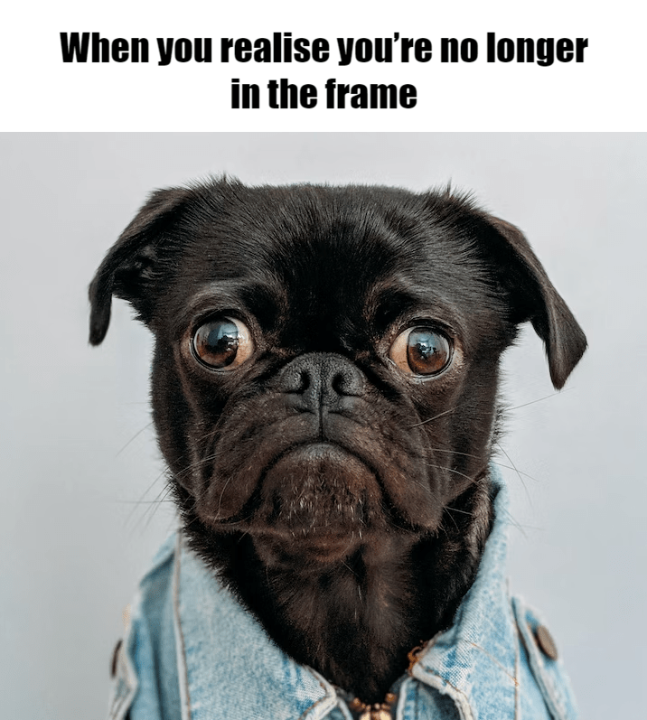 Meme – When you realise you’re no longer in the frame