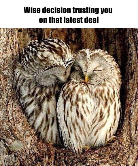 Meme – Wise decision trusting you on that latest deal Meme - Wise decision trusting you on that latest deal
