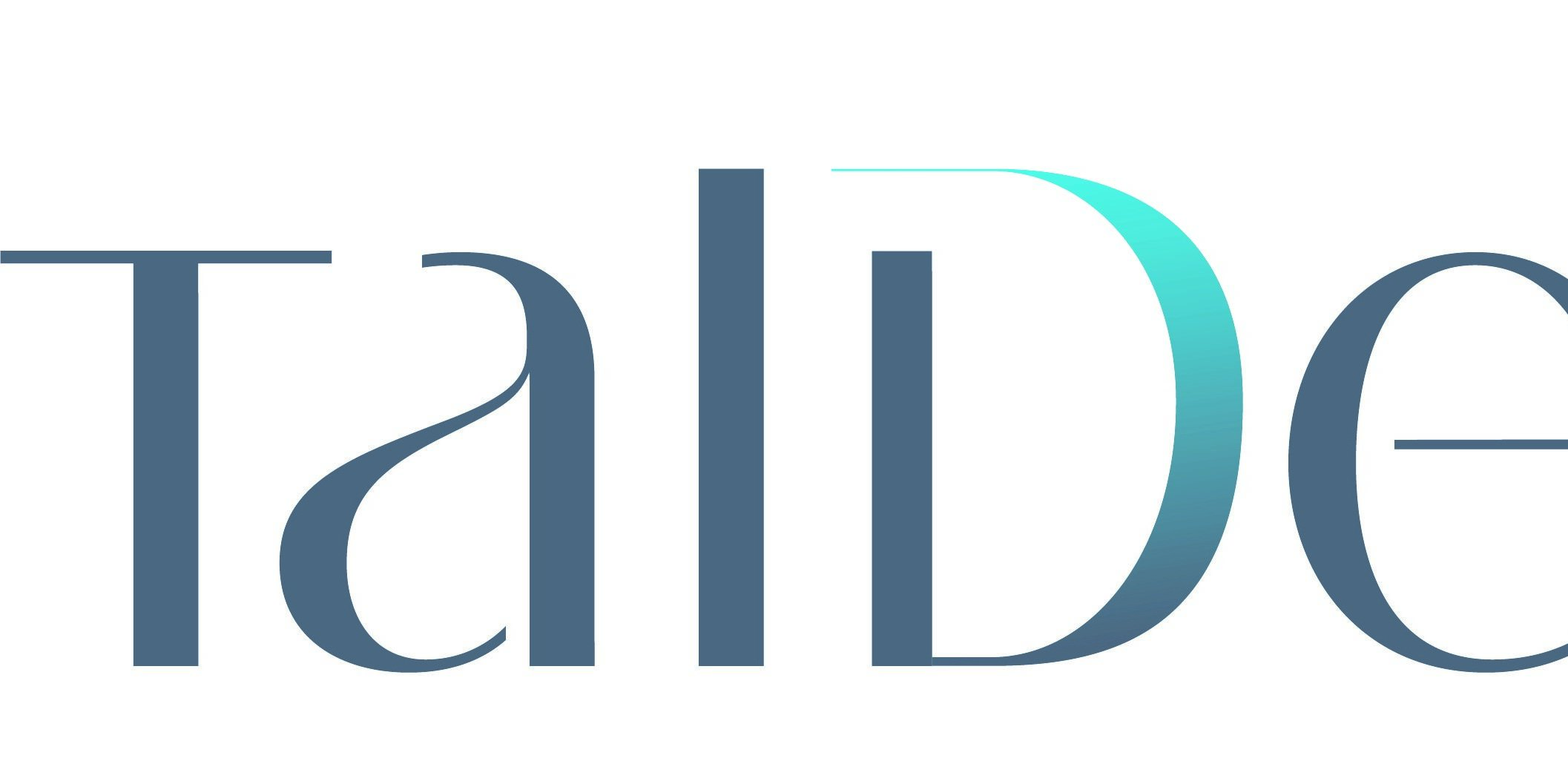 TALDE_Logo TALDE1
