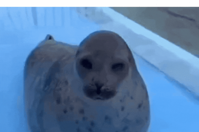 Sealed the deal! Weekly spin meme