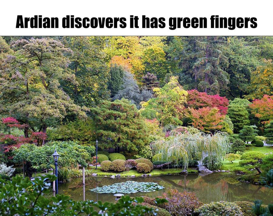 Weekly spin garden meme