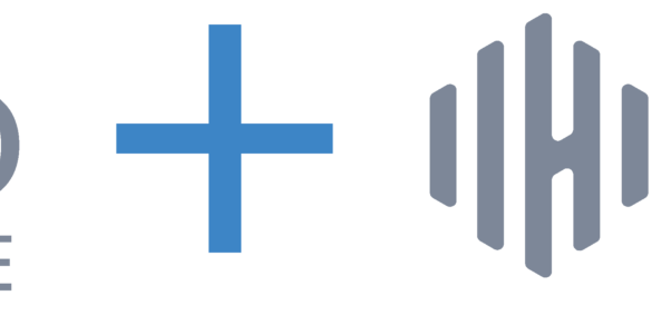 logo_DS+InvestHub_bk