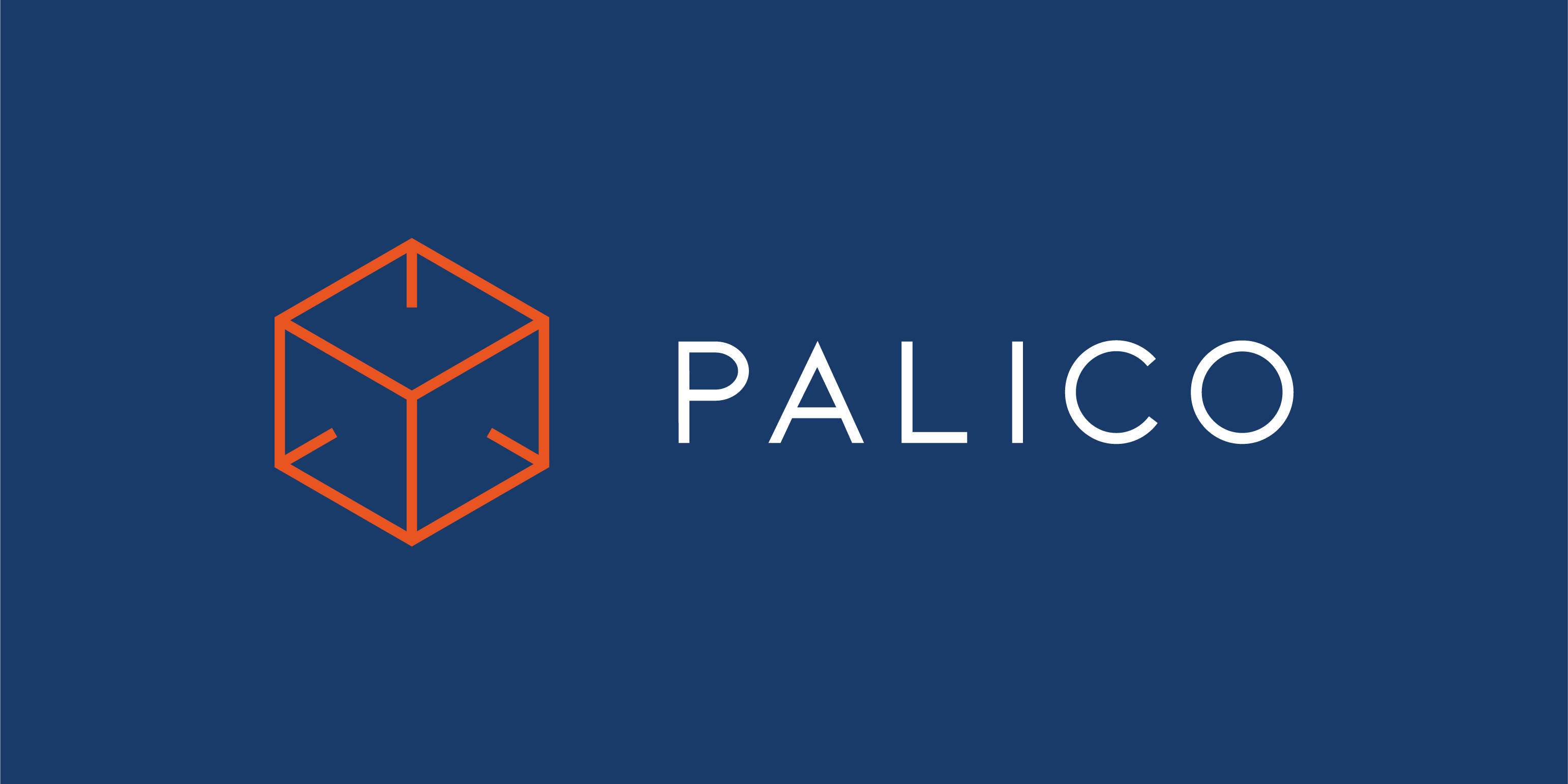 palico_hz_RVB_rectangle